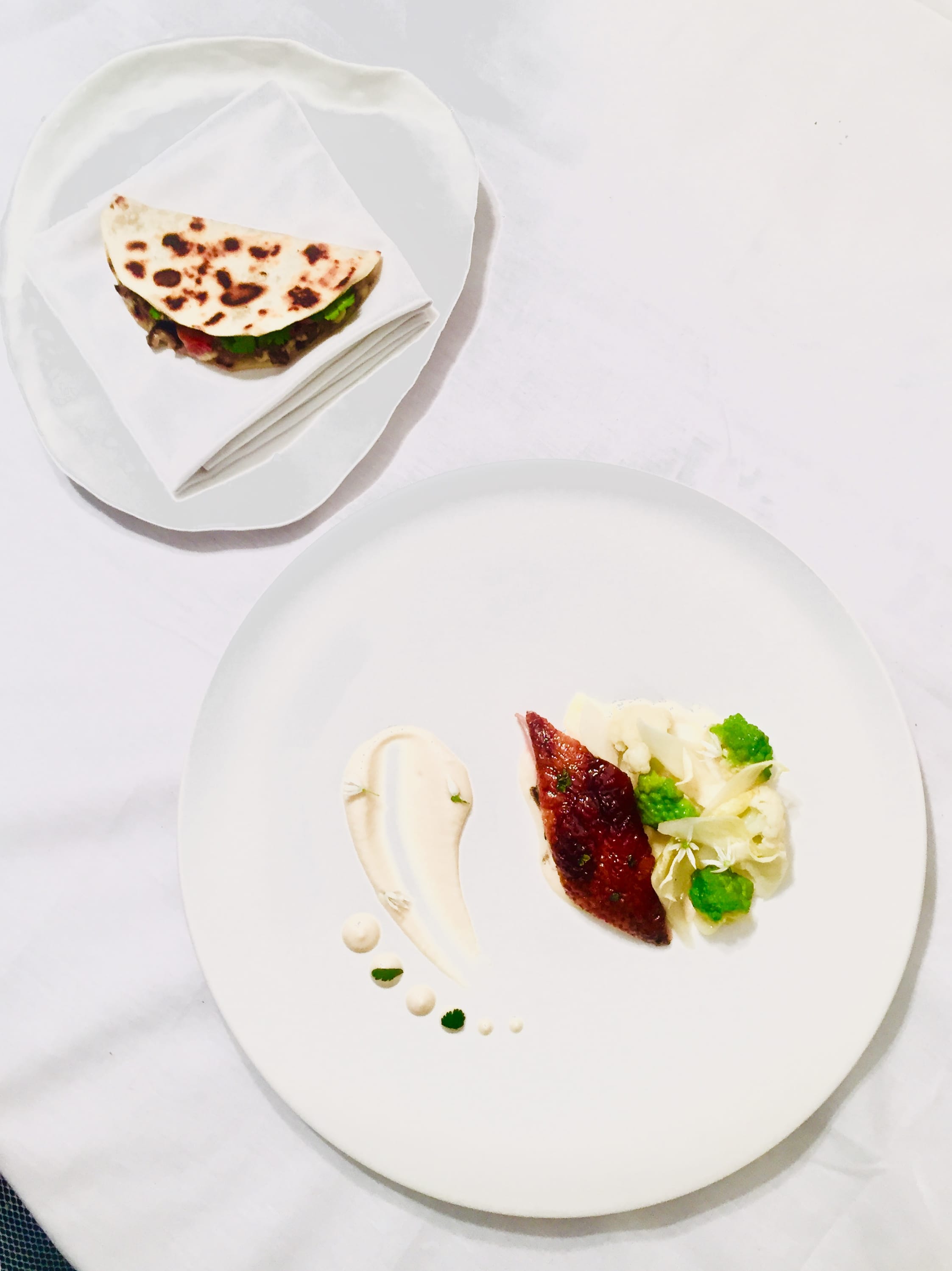 Duck Fermented Cabbage and Piadina 