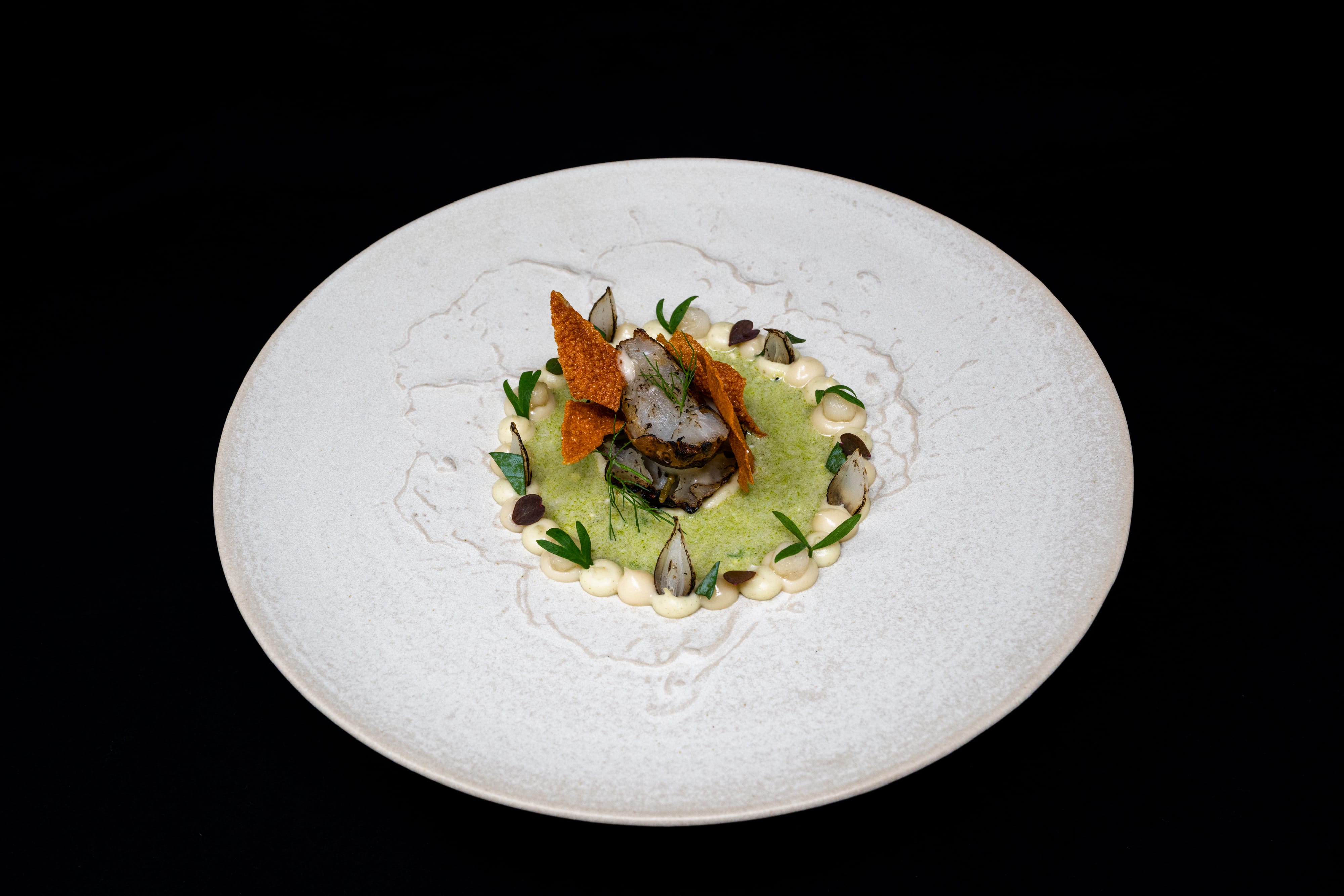 Jerusalem Artichoke "Fish"