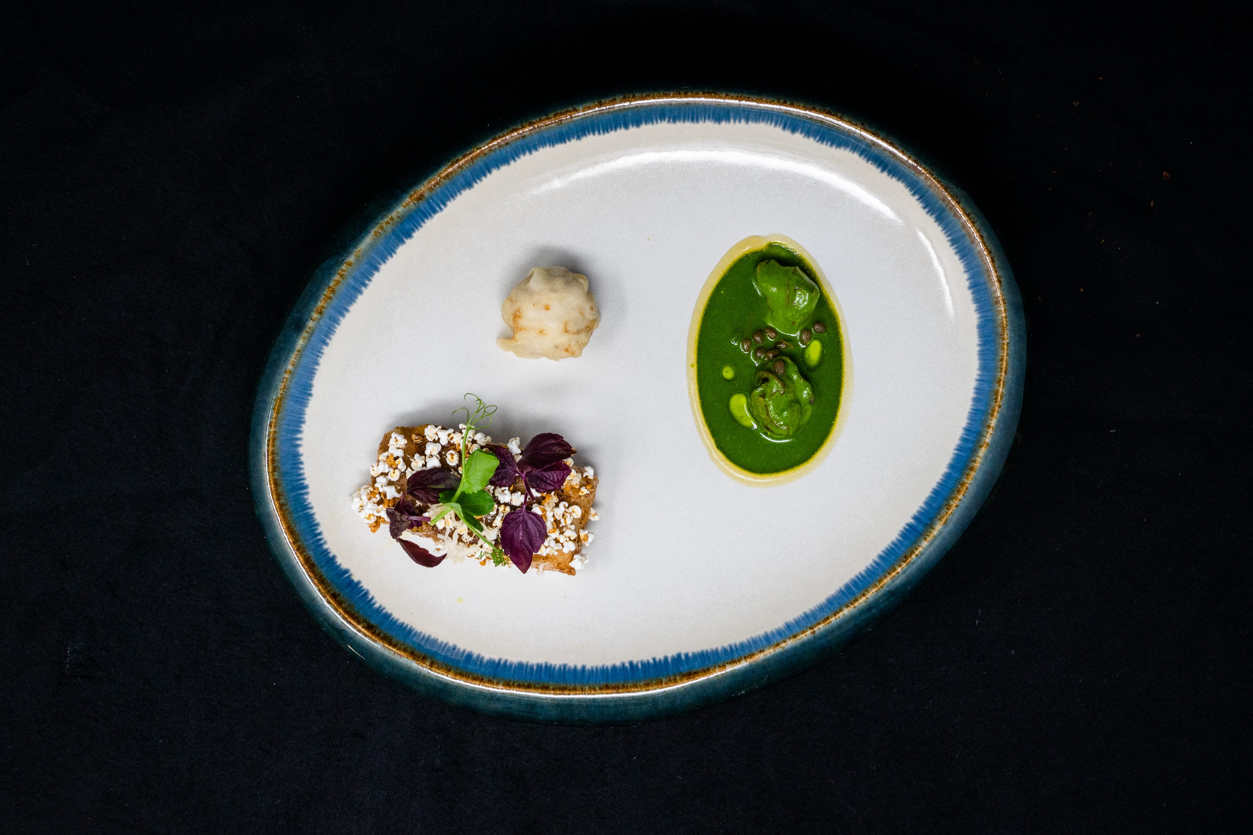Sturgeon and Snails