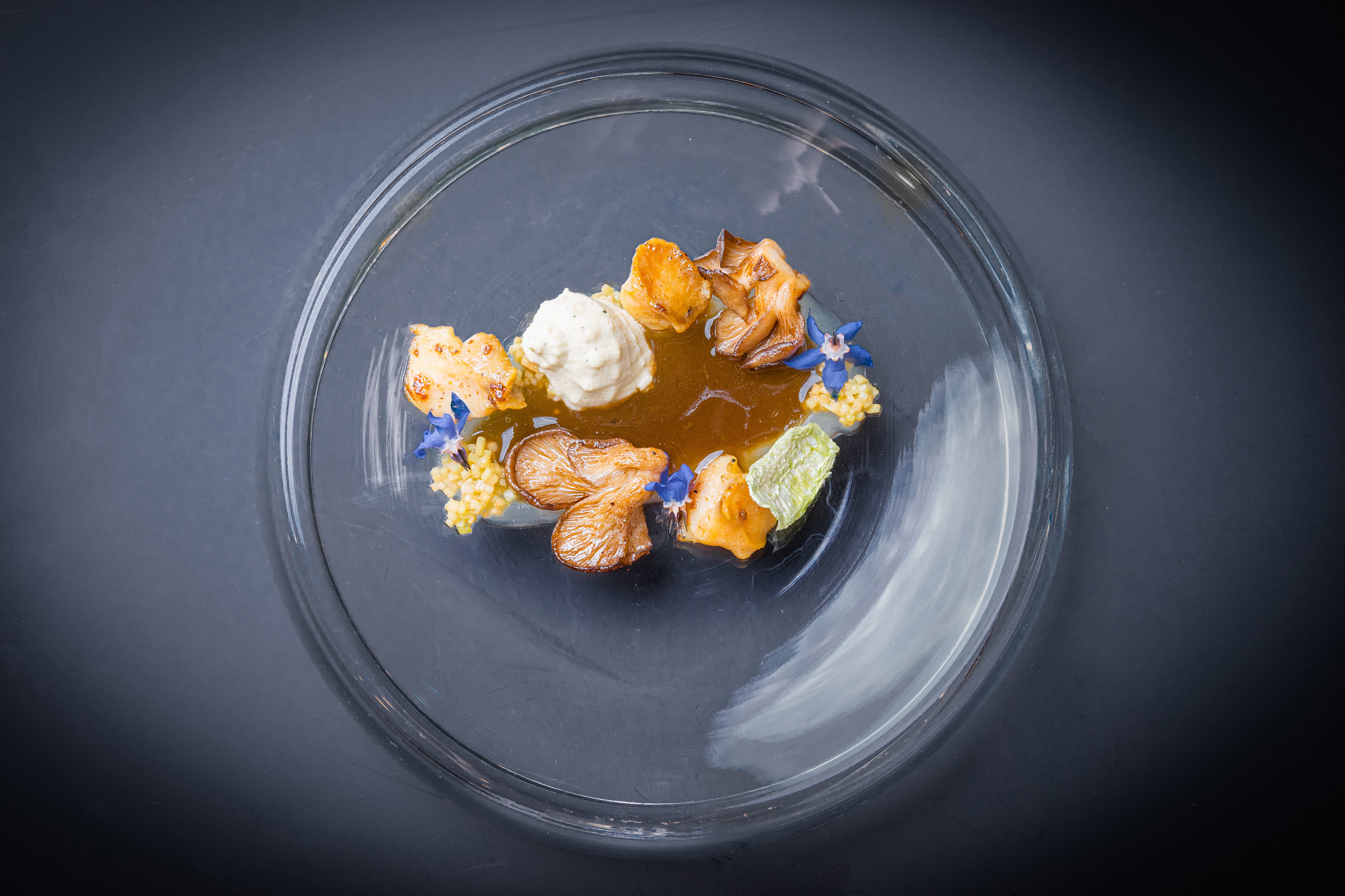 Black Sea Rapa with Mushrooms Grown on Lemon Peels