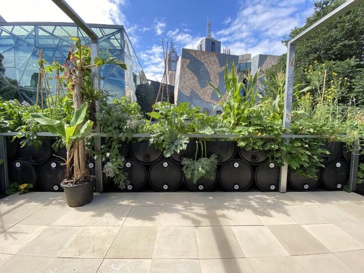 Future Food System rooftop garden