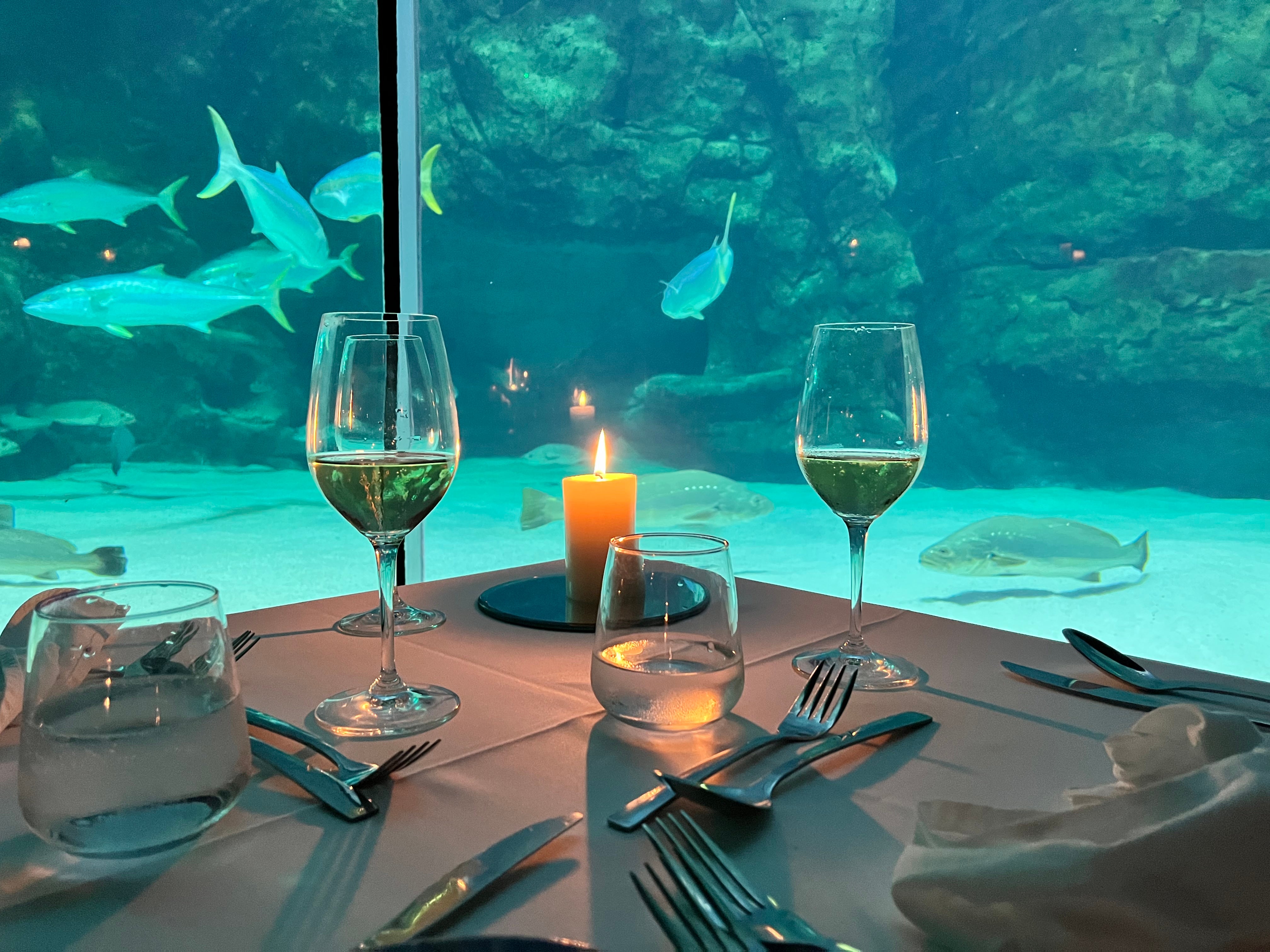 a dinner at the Two Oceans Aquarium in Cape Town