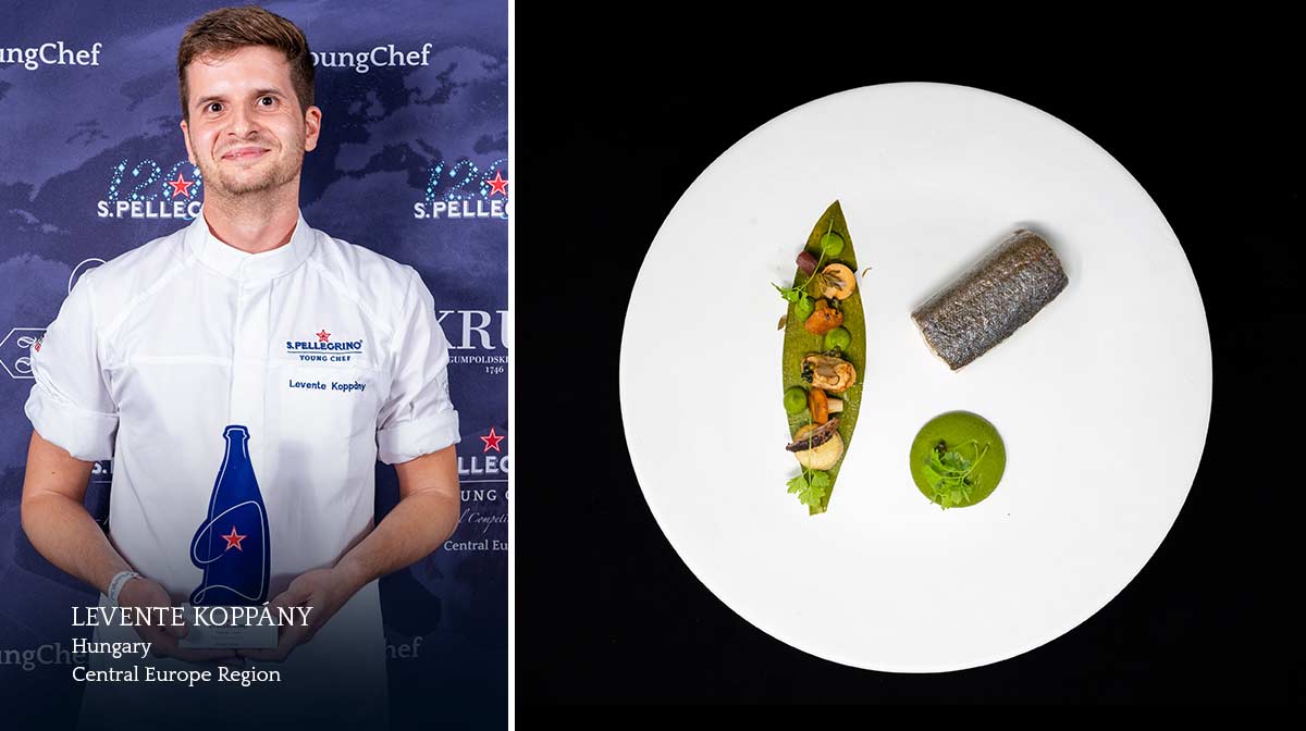 Levente Koppány, Budapest, Hungary, Central Europe Region – “Rainbow trout with chervil, forest mushrooms and wild garlic”
